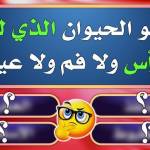 ألغاز وأسئلة ذكاء Profile Picture