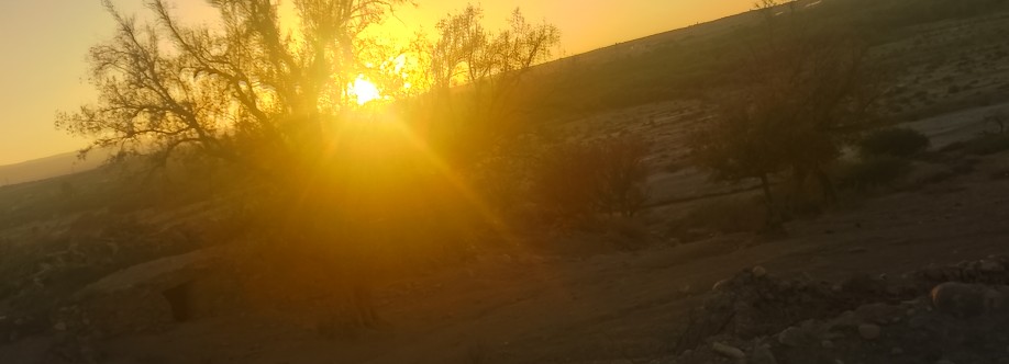 السعيد الناصري Cover Image